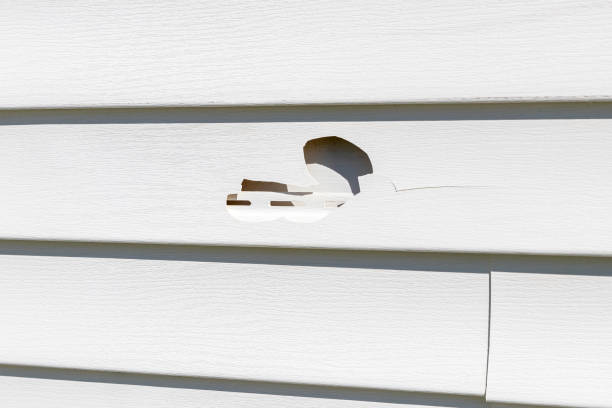 Professional Siding Services in Hillcrest, CA